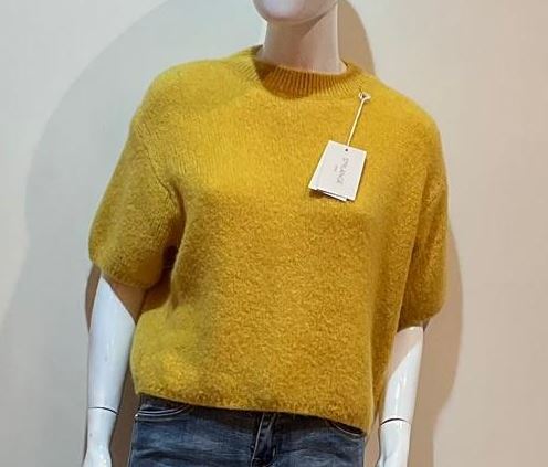 Pull manches courtes (plusieurs couleurs)