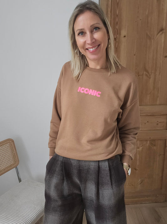 Sweat iconic camel